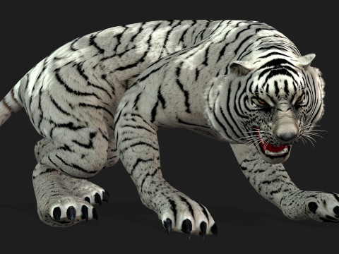 TigerA5 Modelo 3D