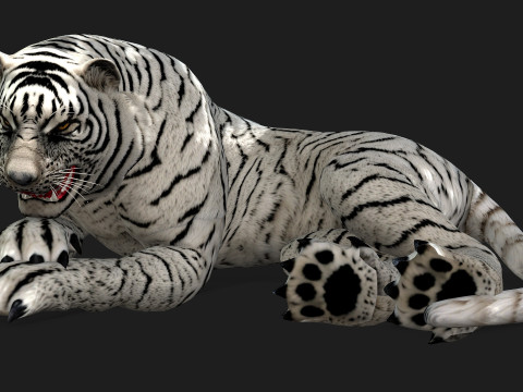 TigerA5 Modelo 3D