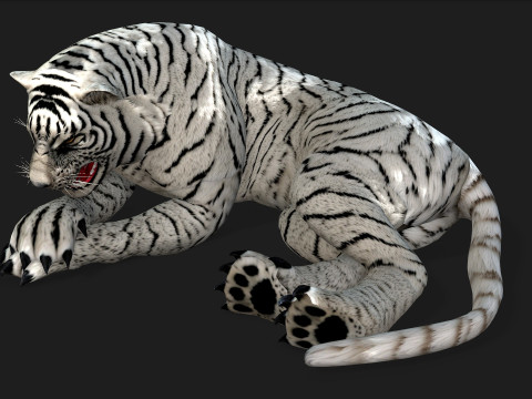 TigerA5 Modelo 3D