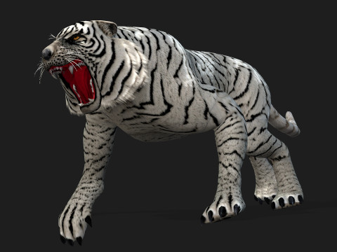 TigerA5 Modelo 3D