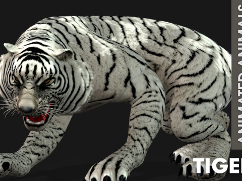 TigerA5 Modelo 3D