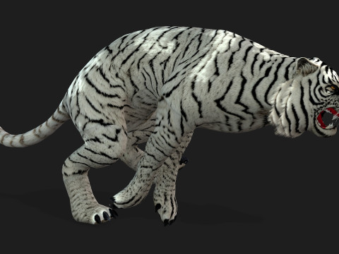 TigerA5 Modelo 3D