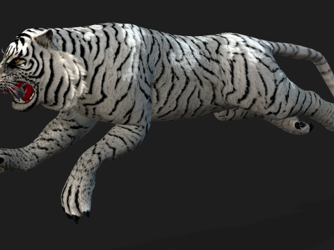 TigerA5 Modelo 3D