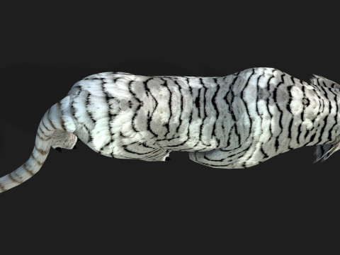 TigerA5 Modelo 3D