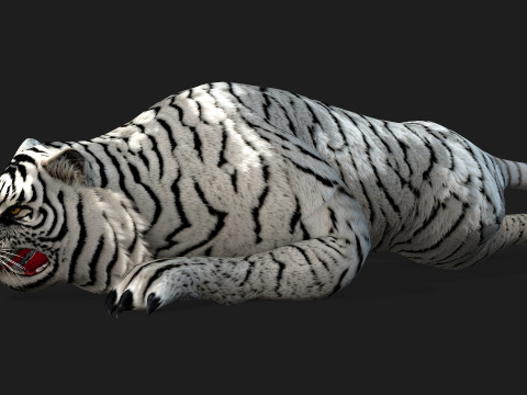 TigerA5 Modelo 3D