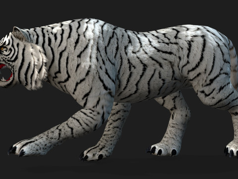 TigerA5 Modelo 3D