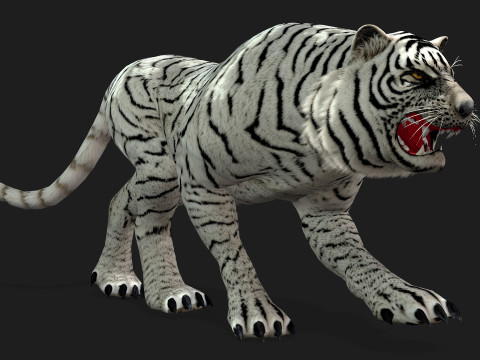TigerA5 Modelo 3D