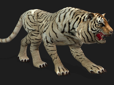 TigerA6 Modelo 3D