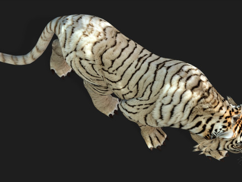 TigerA6 Modelo 3D
