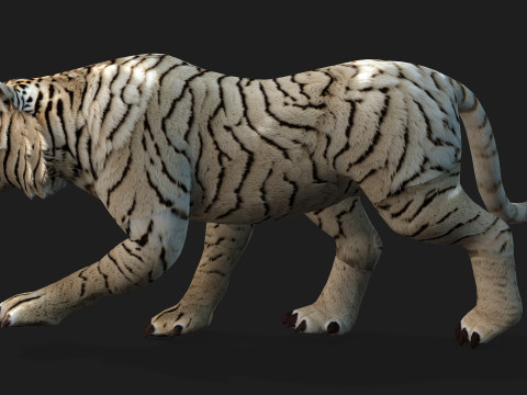 TigerA6 Modelo 3D