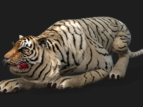TigerA6 Modelo 3D