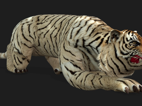 TigerA6 Modelo 3D