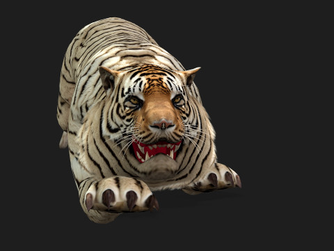 TigerA6 Modelo 3D