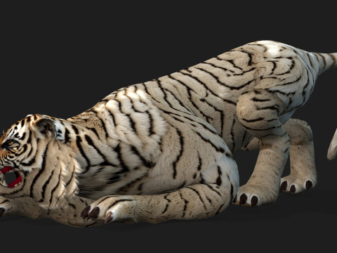 TigerA6 Modelo 3D
