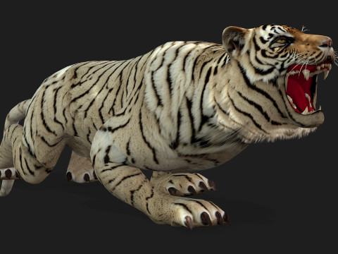 TigerA6 Modelo 3D
