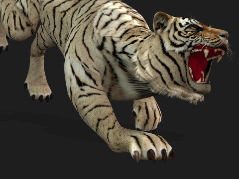 TigerA6 Modelo 3D