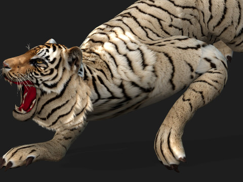 TigerA6 Modelo 3D