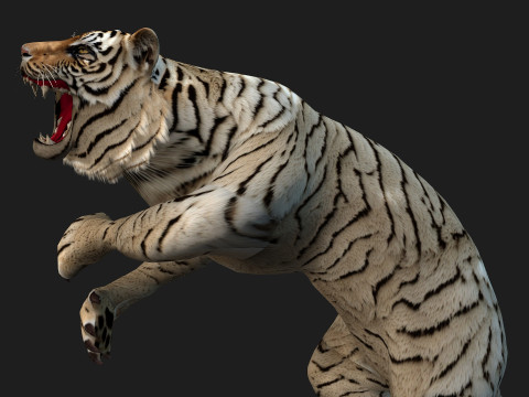 TigerA6 Modelo 3D