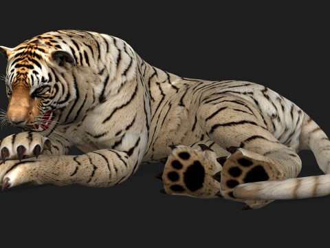 TigerA6 Modelo 3D