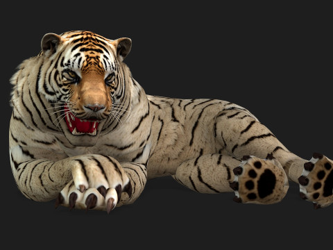 TigerA6 Modelo 3D