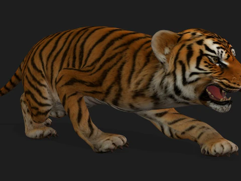 Тигр BaByA1 3D Модель