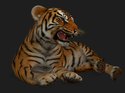 Тигр BaByA1 3D Модель