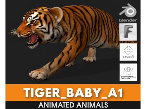 Tiger BaByA1 Modelo 3D