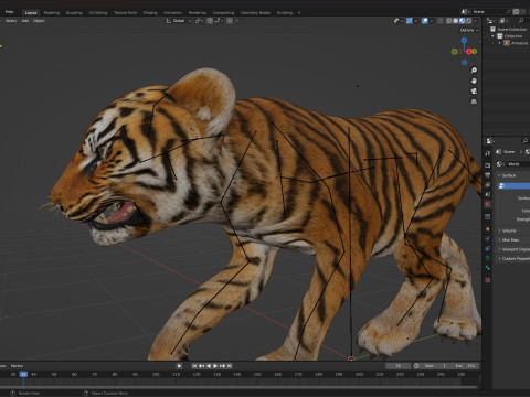Tiger BaByA1 3D Model