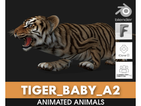 Tiger BaByA2 3D Модель