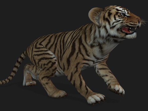 Tiger BaByA2 3D Модель
