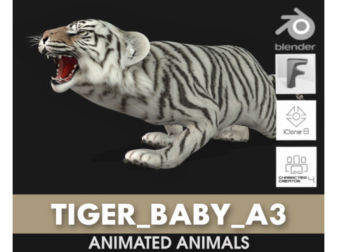 Tiger BaByA3 3D Model