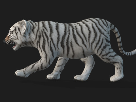 Tiger BaByA3 Modèle 3D