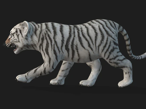 Tigre BaByA3 Modelo 3D