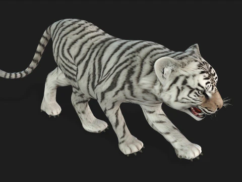 Tigre BaByA3 Modelo 3D