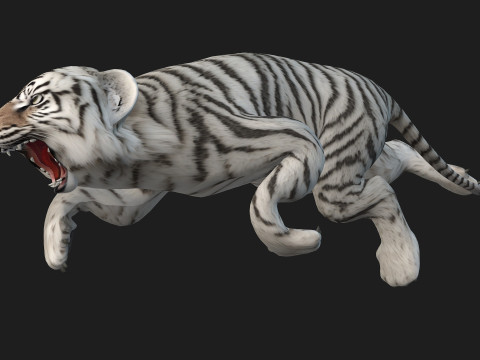 Tiger BaByA3 Modèle 3D