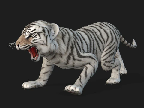 Tigre BaByA3 Modelo 3D