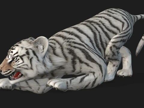 Tigre BaByA3 Modelo 3D