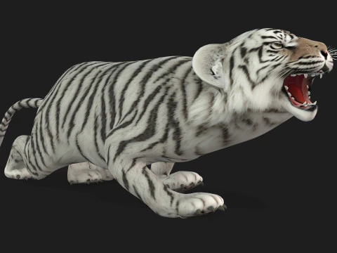 Tigre BaByA3 Modelo 3D