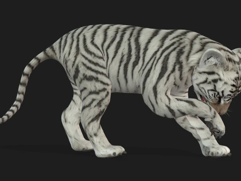 Tigre BaByA3 Modelo 3D