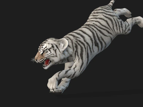Tigre BaByA3 Modelo 3D