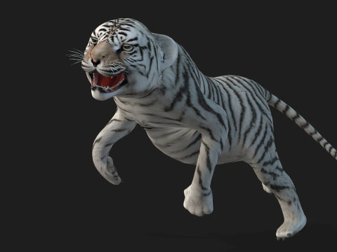 Tigre BaByA3 Modelo 3D