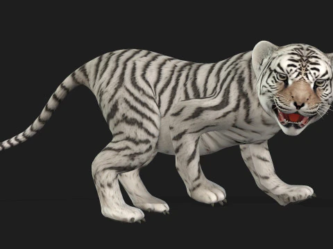 Tigre BaByA3 Modelo 3D