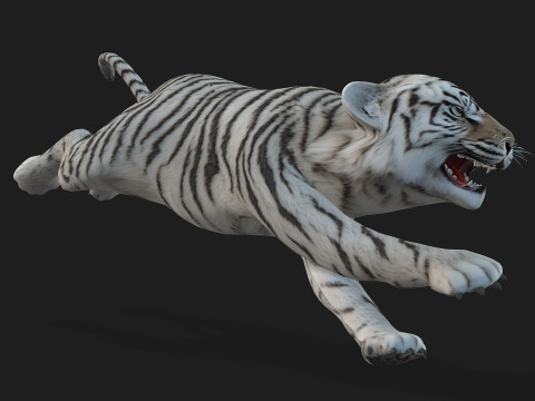 Tiger BaByA3 Modèle 3D