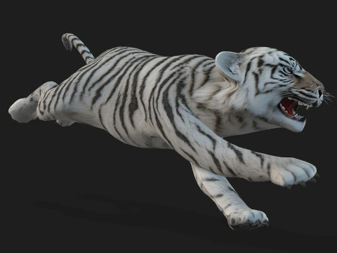 Tigre BaByA3 Modelo 3D