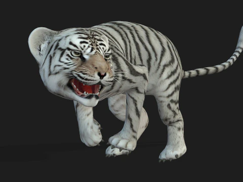 Tigre BaByA3 Modelo 3D