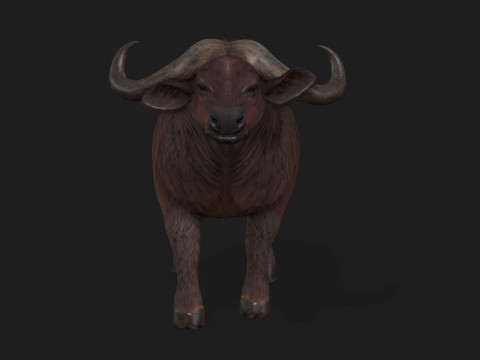 BuffaloA1 3D 모델