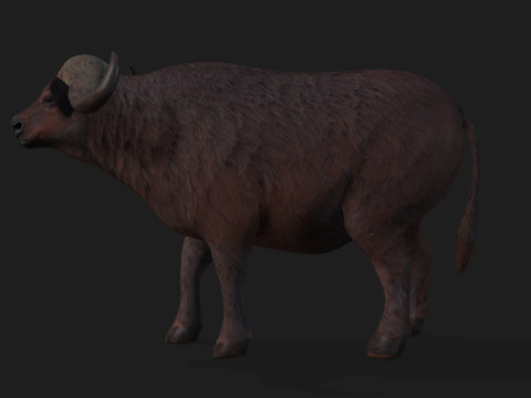 BuffaloA1 3D 모델