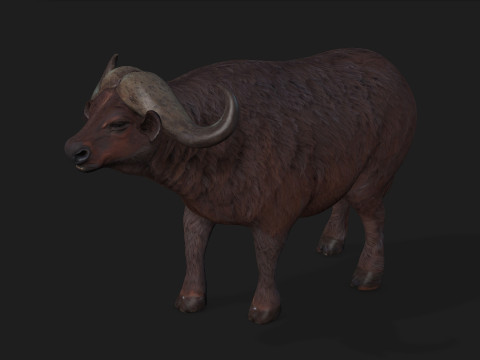 BuffaloA1 3D 모델