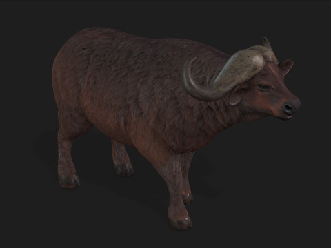 BuffaloA1 3D 모델