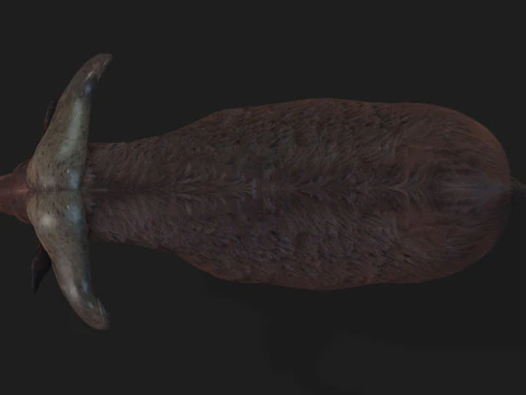 Buffalo-A1 3D Model